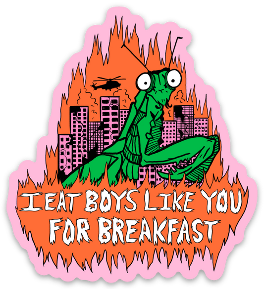 I Eat Boys Like You For Breakfast Magnet