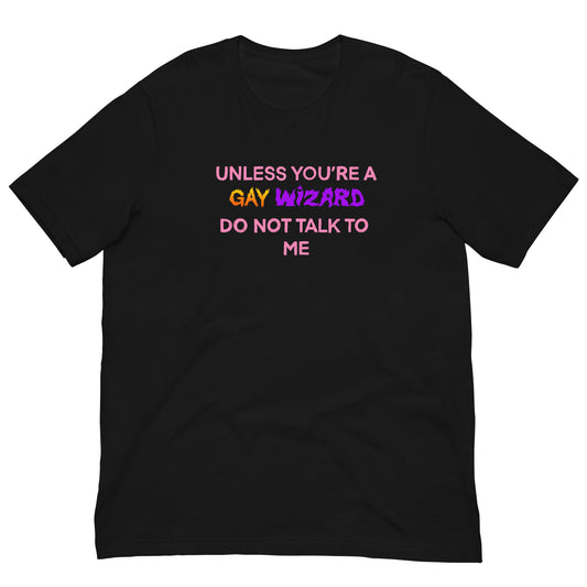 Unless You’re A Gay Wizard Do Not Talk To Me Tee