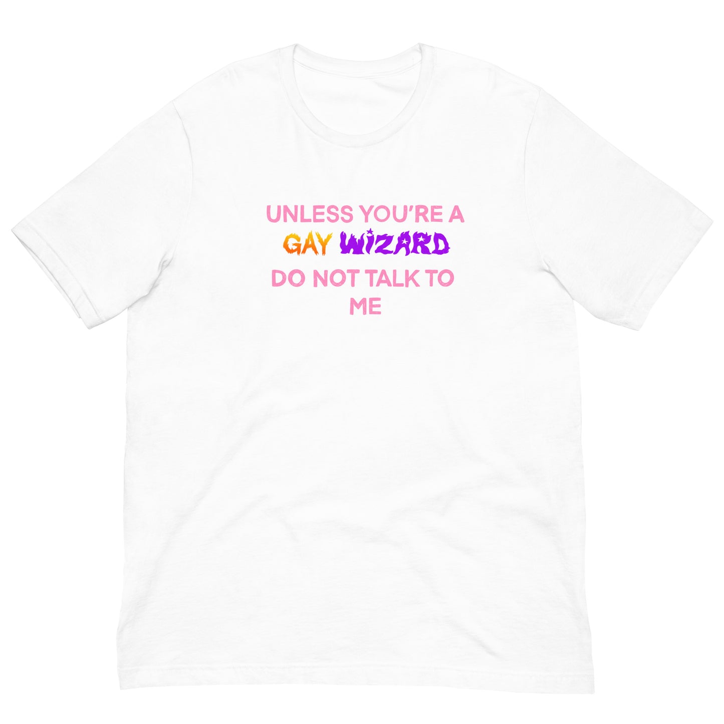 Unless You’re A Gay Wizard Do Not Talk To Me Tee