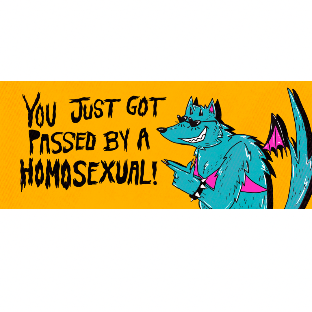 You Just Got Passed By A Homosexual Bumper Sticker